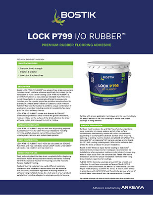 LOCK P799 I/O RUBBER TDS