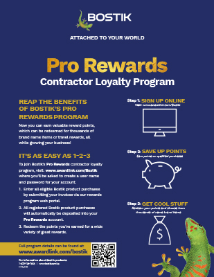 Pro Rewards Flyer