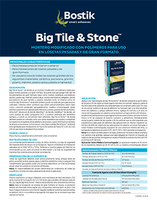 ESP Big Tile & Stone TDS