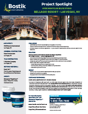 T3153 ProjectSpotlight