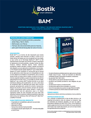 T3307SP_BAM_TDS_101119